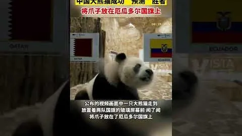 鹈鹕队连续七战失利，湖人蓄势待发，挑战连胜高峰！